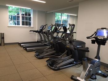 Cardio equipment in the fitness room